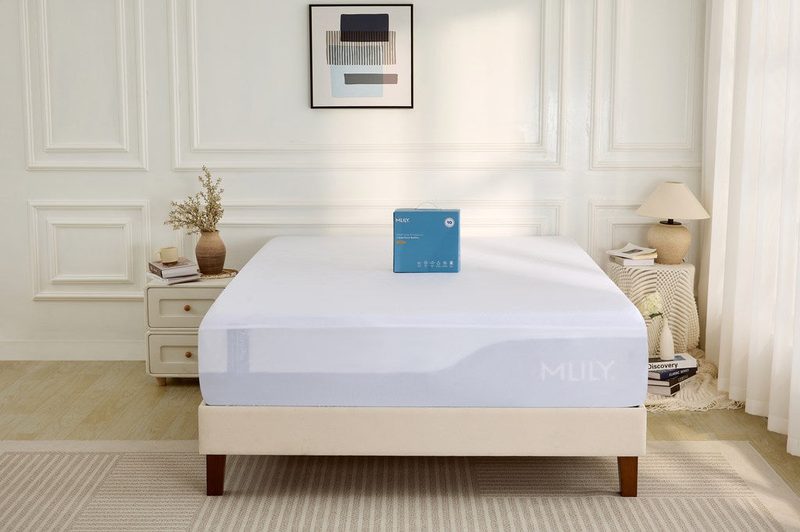 MLily 5-Sided Rayon Bamboo mattress protector